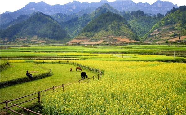 景点
