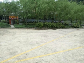mmexport1491807760330