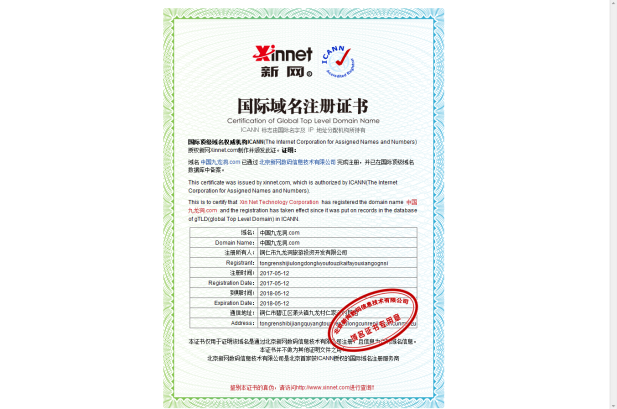 九龙洞中文域名国际域名证书